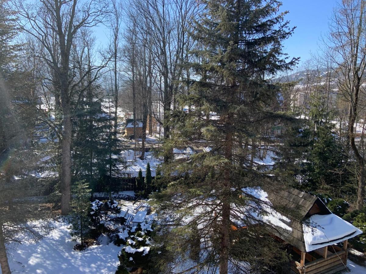 Ow Jaskolka Otel Zakopane Dış mekan fotoğraf