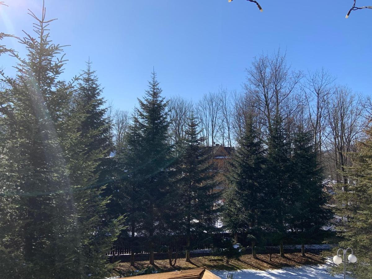 Ow Jaskolka Otel Zakopane Dış mekan fotoğraf